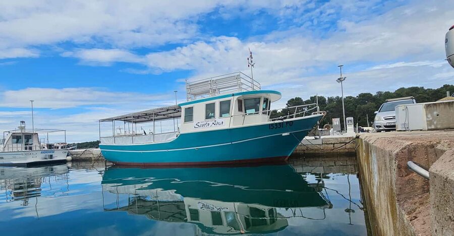 Dolphin Safari Boat Trip from Marina Funtana - Boat size and group expectations
