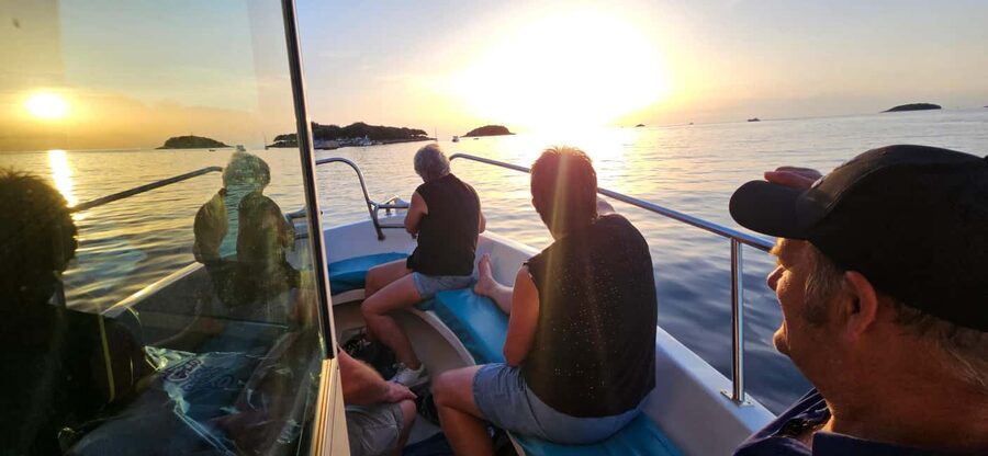 Dolphin Safari Boat Trip from Marina Funtana - Should you book the Dolphin Safari from Funtana?