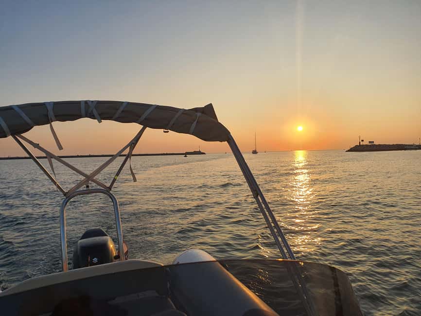 Dolphin safari every evening - A sunset boat ride with dolphins as the main prize