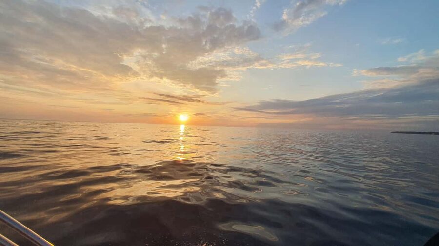 Dolphin safari every evening - The two-hour skipper training course