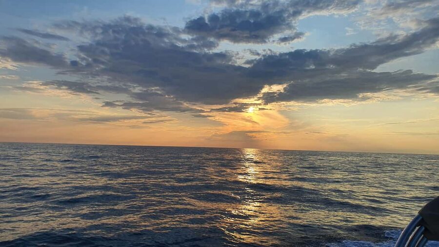 Dolphin safari every evening - How the group size changes the experience