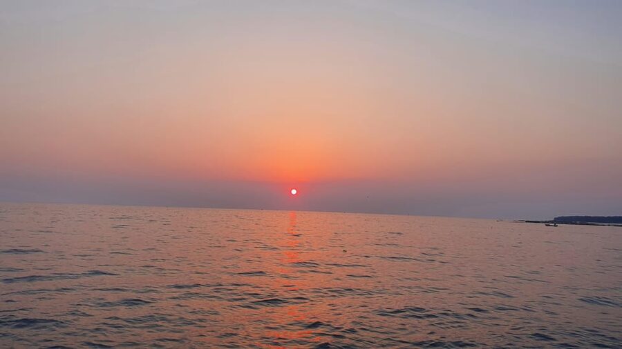 Dolphin safari every evening - Is $35 good value for Istria?