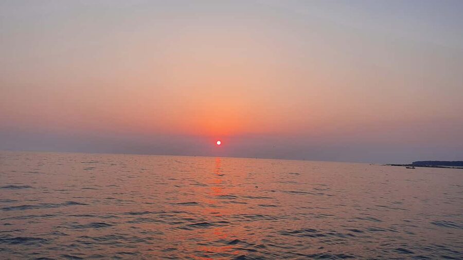 Dolphin safari every evening - What to bring and what to arrange first