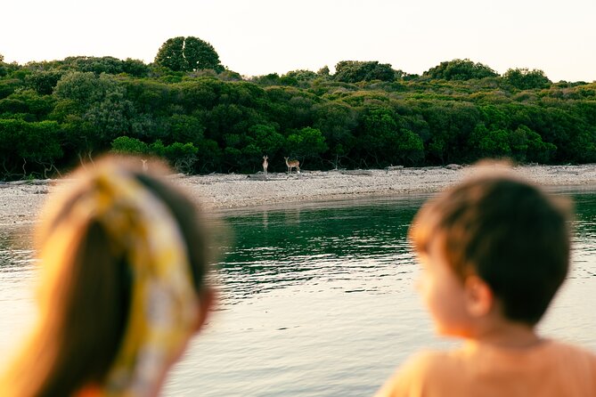 Dolphin Safari in Fažana - Veliki Brijun and the island sights