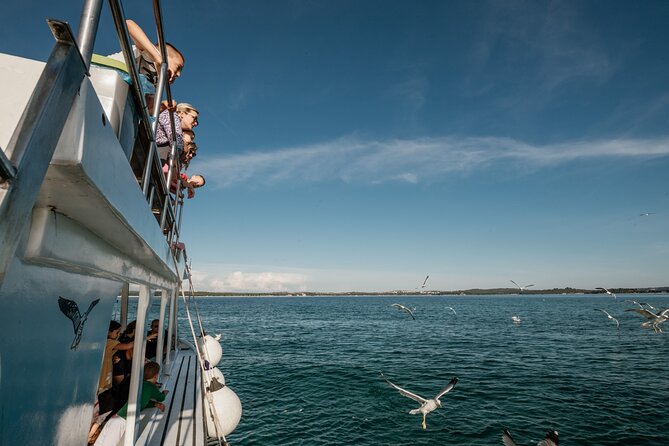 Dolphin Safari in Fažana - What is included for $42.33