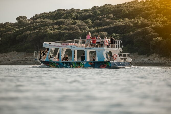 Dolphin Safari in Fažana - Who will enjoy this Fažana boat trip