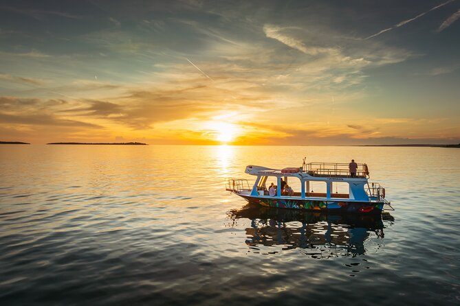 Dolphin Safari in Fažana - Searching the open sea for dolphins