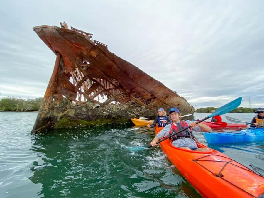 Dolphin Sanctuary and Ships Graveyard Kayak Tour - The first paddle: calm water and clear instruction