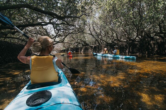 Dolphin Sanctuary Kayak Tour Adelaide - From Port Adelaide to Garden Island