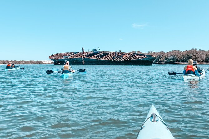 Dolphin Sanctuary Kayak Tour Adelaide - What to bring and how to prepare