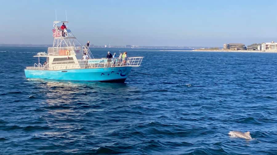 Dolphin & Scenic Bay Sightseeing Cruise Up to 49, Pensacola - FAQ