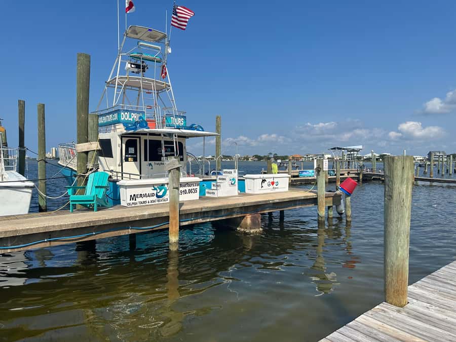 Dolphin & Scenic Bay Sightseeing Cruise Up to 49, Pensacola - Pensacola Beach From the Water
