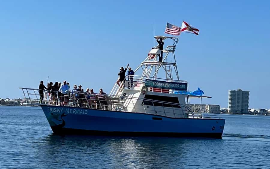 Dolphin & Scenic Bay Sightseeing Cruise Up to 49, Pensacola - Is $50 a Fair Price?