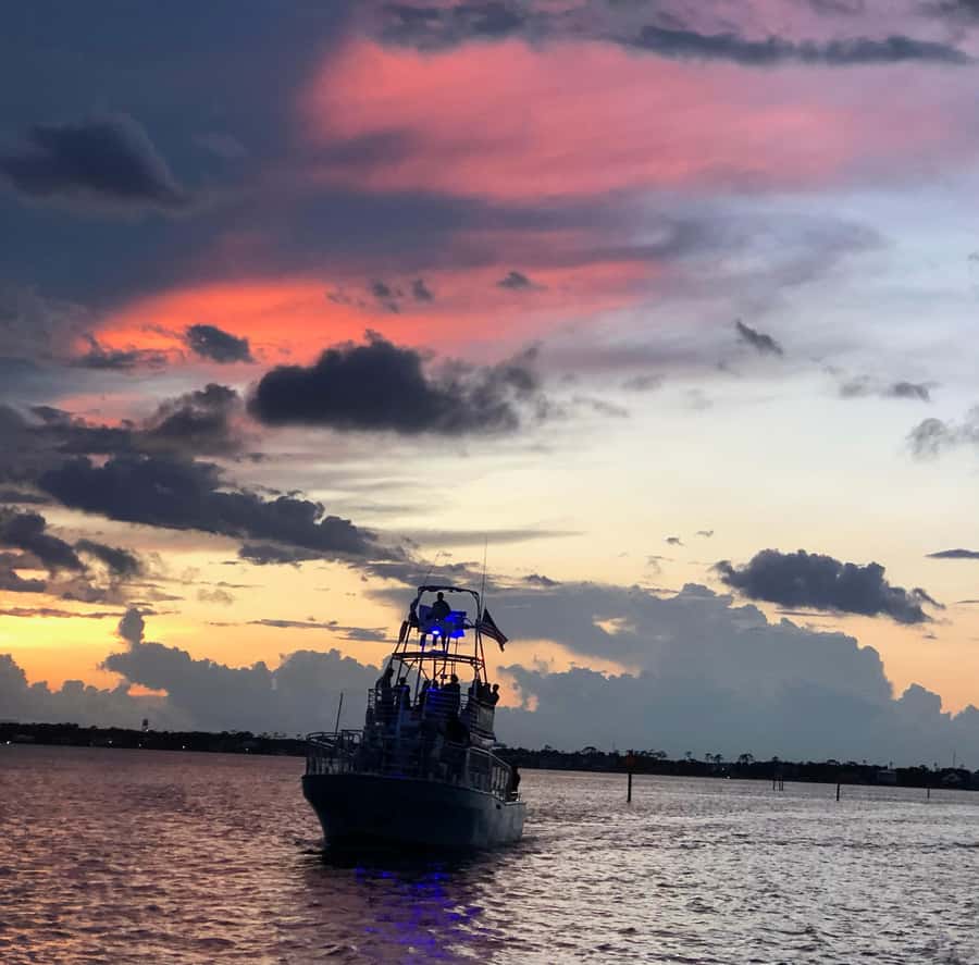 Dolphin & Scenic Bay Sightseeing Cruise Up to 49, Pensacola - Should You Book The Frisky Mermaid?