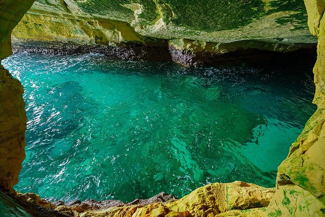 Dolphin, Sea Cave, Captain Cook, Kealakekua Bay Reef Snorkeling - Sea caves, lava tubes, and what you may actually see