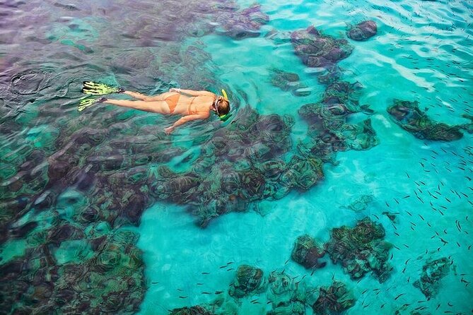 Dolphin, Sea Cave & Captain Cook Snorkel Combo in Kealakekua Bay - Sea caves, lava tubes, and the return along the coast