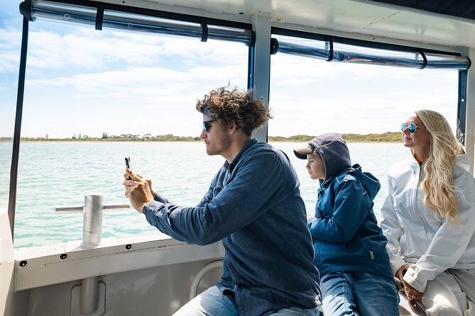 Dolphin, Sea Lion and Penguin Island Cruise - Shoalwater Islands Marine Park is the real attraction