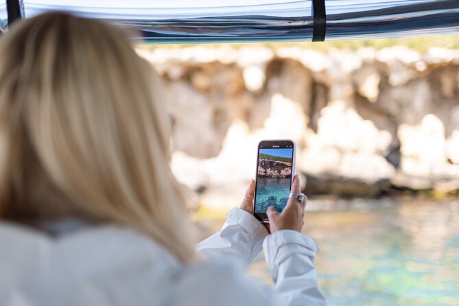 Dolphin, Sea Lion and Penguin Island Cruise - What the one-hour itinerary feels like