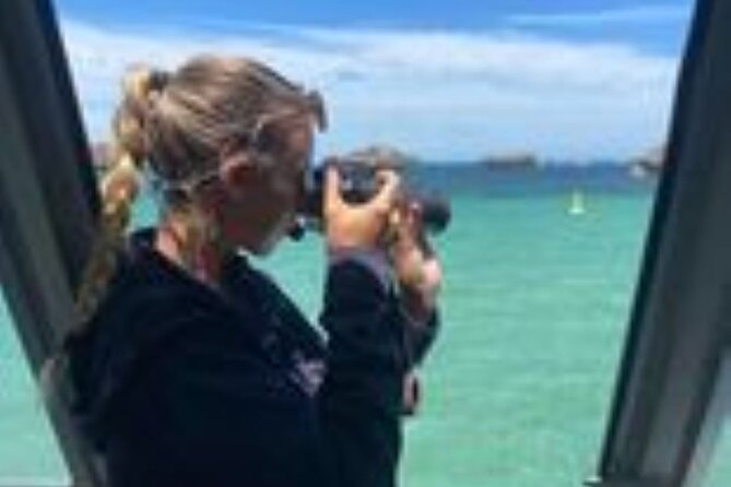 Dolphin, Sea Lion and Penguin Island Cruise - Conditions, access, and comfort matter