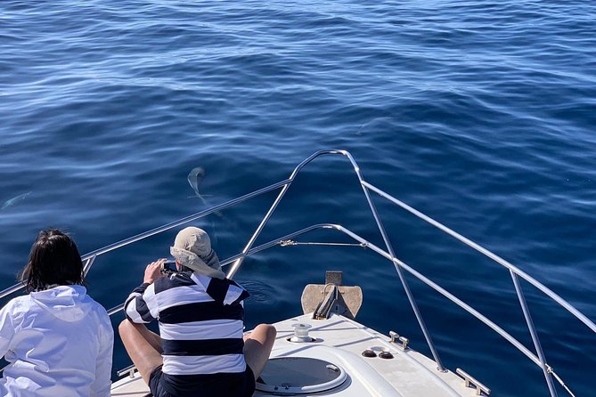 Dolphin Searching Tour in Puerto de Mogán ("KEEPER UNO" Boat) - Lunch, snacks, and drinks on the four-hour trip