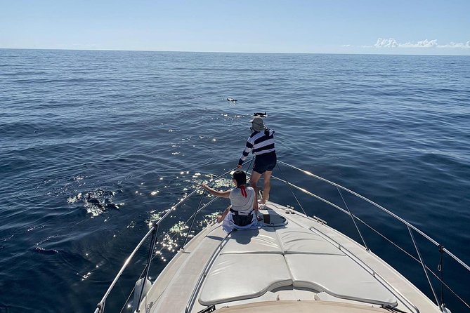 Dolphin Searching Tour in Puerto de Mogán ("KEEPER UNO" Boat) - Searching the southwest coast for dolphins