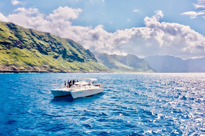 Dolphin & Seasonal Whale Watching, Turtle Snorkeling - Is $166.49 a fair price?