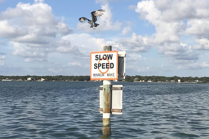 Dolphin Shelling Snorkeling Cruise in Tampa - Group size, weather, and schedule concerns