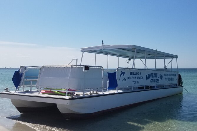 Dolphin /Shelling/Snorkeling tours Private Charters - Key points to know before you book