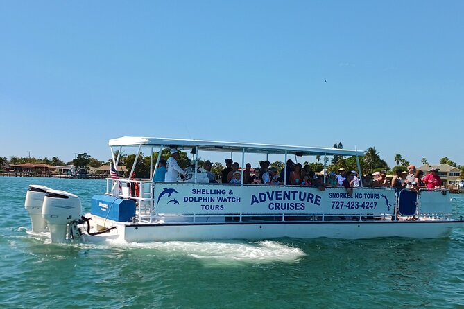 Dolphin /Shelling/Snorkeling tours Private Charters - A short afternoon on St. Pete Beach