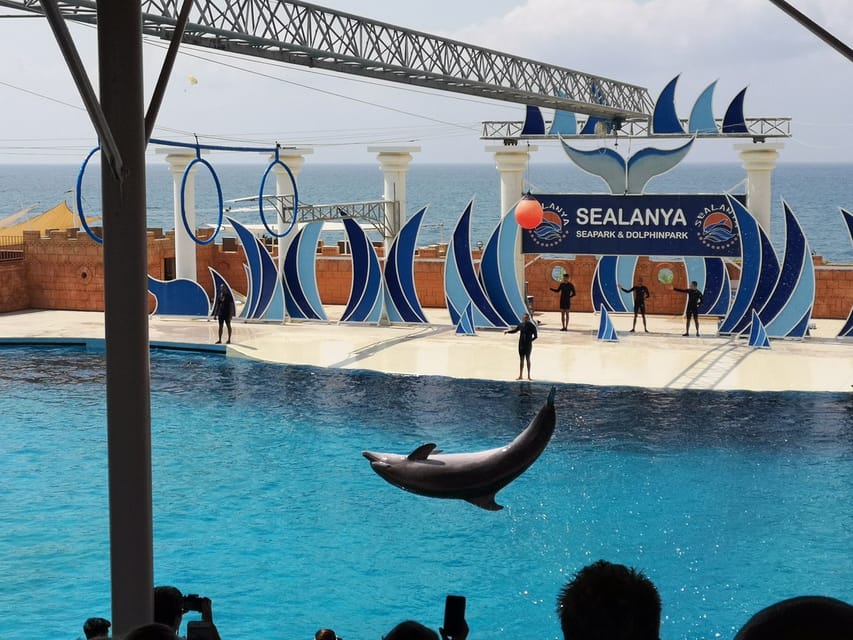 Dolphin Show Free Transfer From Alanya, Side, Kemer,Antalya - What the $64 price includes