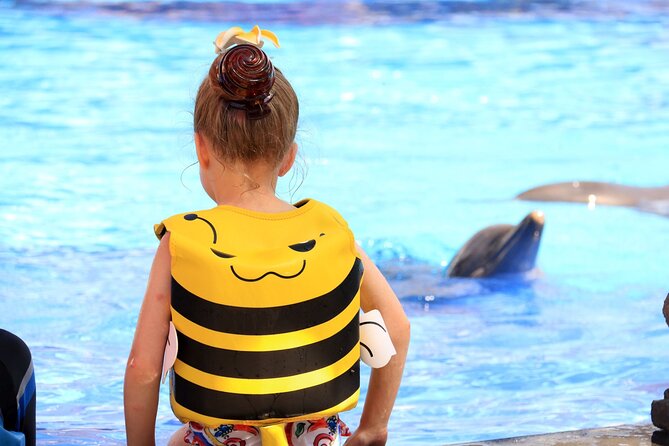 Dolphin Show & Photoshoot Package with Transfer from Hurghada - Key points to know before booking