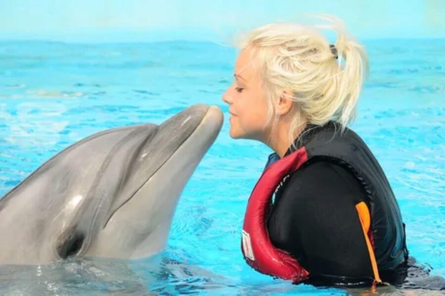 Dolphin Show Tour with Transfer from Alanya & Side - Hotel pickup from Alanya and Side