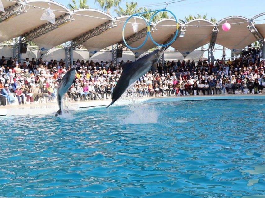 Dolphin Show Tour with Transfer from Alanya & Side - Entering the venue with Mesut