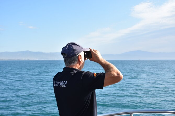 Dolphin Sightseeing Boat Tour from Benalmadena - What you see along the Costa del Sol