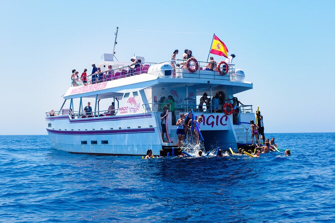 Dolphin Sightseeing Boat Tour from Benalmadena - Is $22.93 good value?
