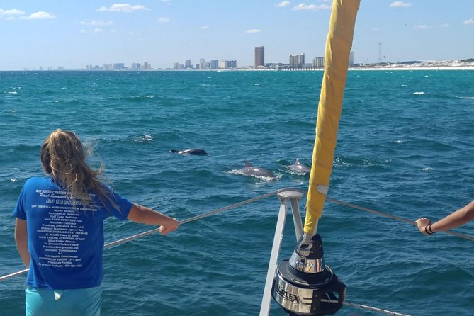 Dolphin Sightseeing on the Privateer Catamaran - Key points to know before you book