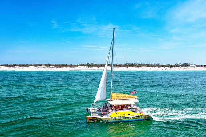 Dolphin Sightseeing Tour on the Footloose Catamaran - Key points to know before booking