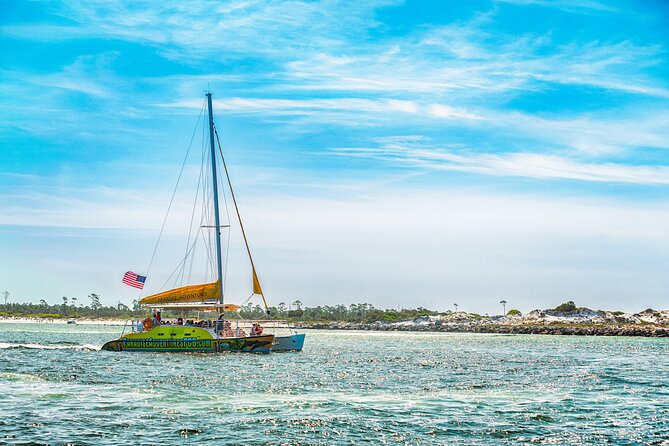 Dolphin Sightseeing Tour on the Footloose Catamaran - The boat ride, music, drinks, and front net