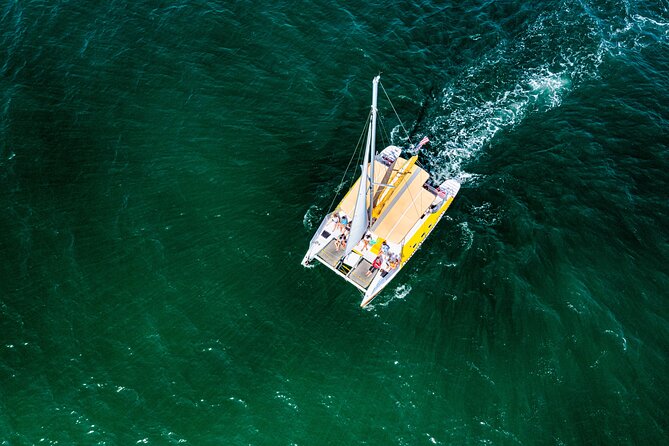 Dolphin Sightseeing Tour on the Footloose Catamaran - Weather, safety, and changes to the schedule