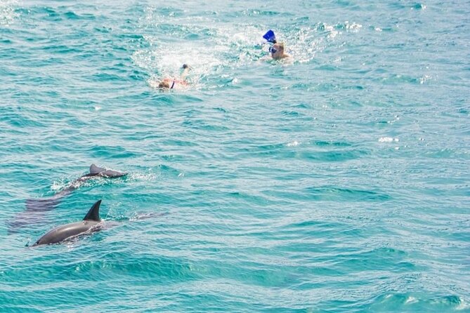 Dolphin Snorkel With private Speed Boat & Water Sports - Hurghada - Who will enjoy this four-hour trip most?