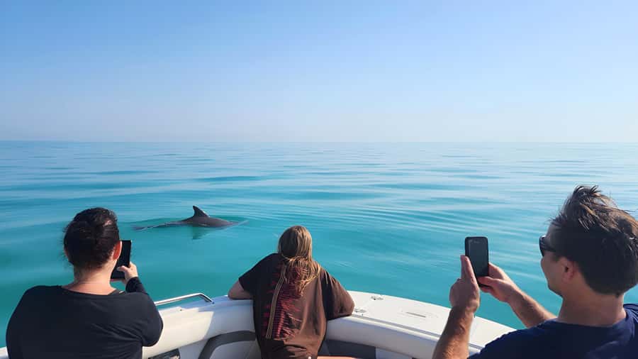 Dolphin & Snorkeling Key West - Key points at a glance