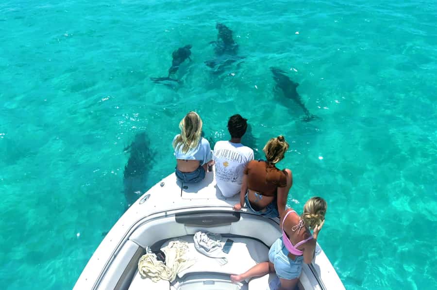 Dolphin & Snorkeling Key West - Setting out from Salty Oyster Dockside Bar and Grill