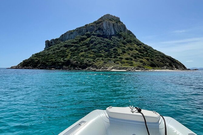 Dolphin spotting in the Gulf of Olbia - Capo Figari by boat