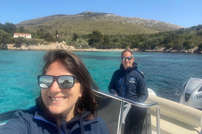 Dolphin spotting in the Gulf of Olbia - What the $42.10 price delivers