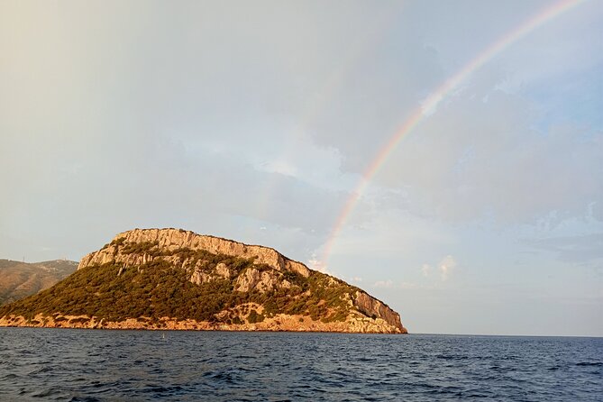 Dolphin spotting in the Gulf of Olbia - Practical comfort and what to bring