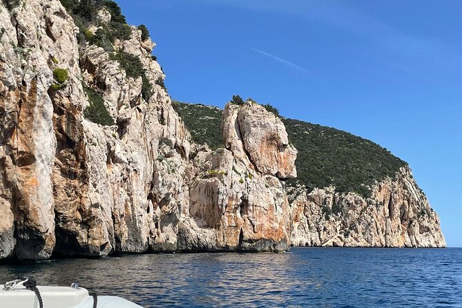 Dolphin spotting in the Gulf of Olbia - Weather, cancellations, and timing