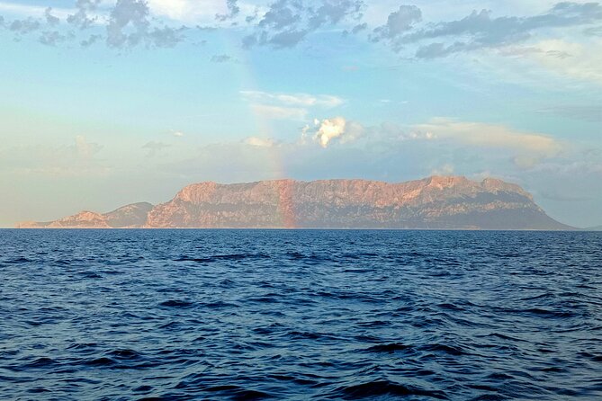 Dolphin spotting in the Gulf of Olbia - Isola di Figarolo and the search for dolphins
