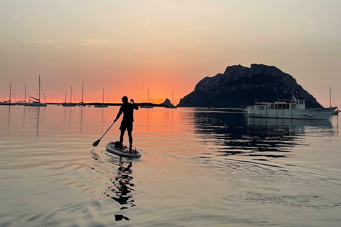 Dolphin-spotting SUP tour with Golfo Aranci aperitif - What the guide support adds