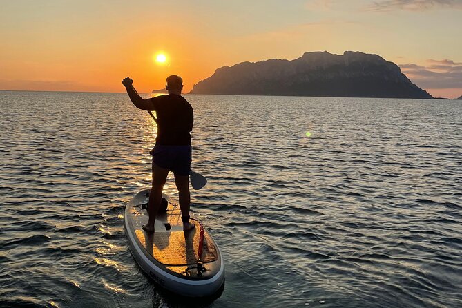 Dolphin-spotting SUP tour with Golfo Aranci aperitif - Photos, videos, and the value of the price