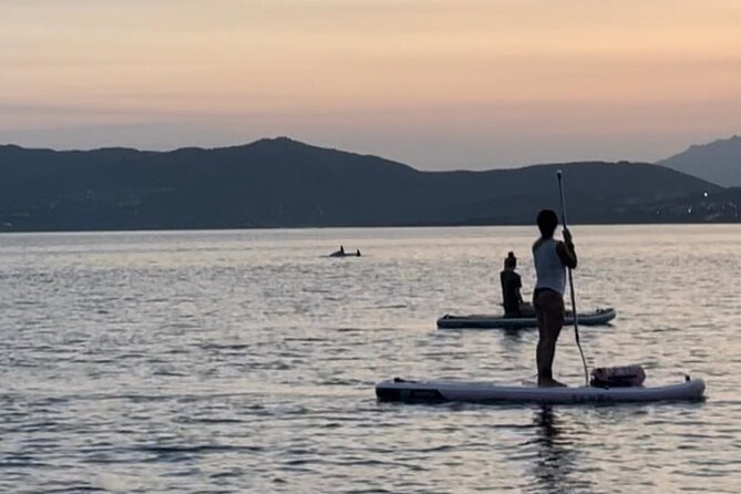 Dolphin-spotting SUP tour with Golfo Aranci aperitif - What to pack for a comfortable outing